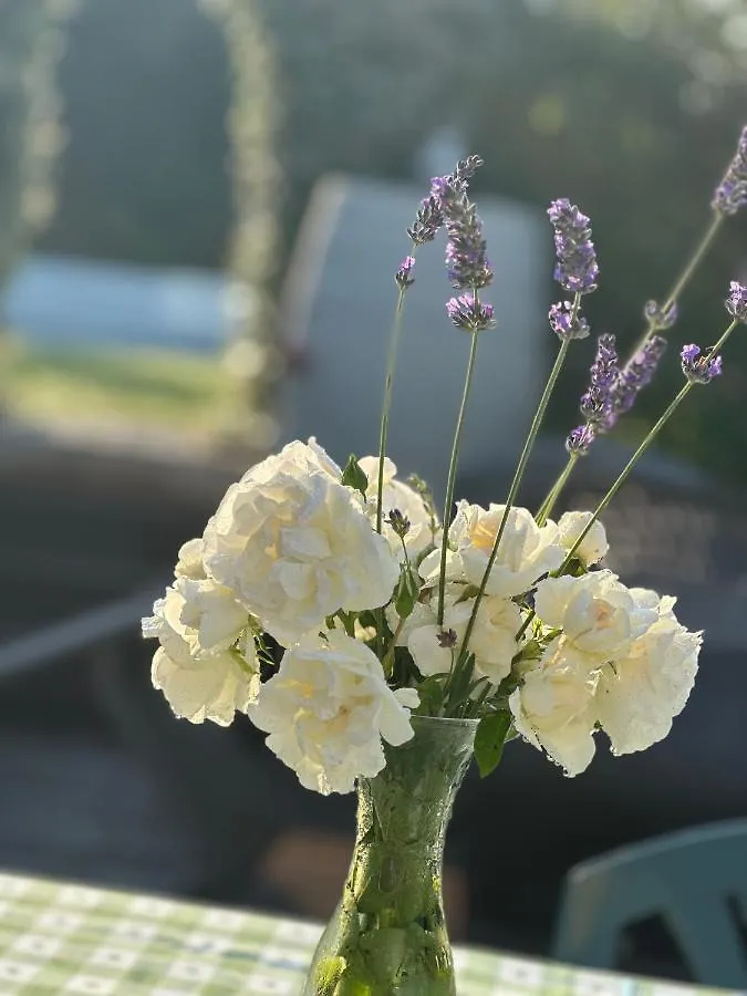 Holiday Home Sovenigo Puegnago del Garda