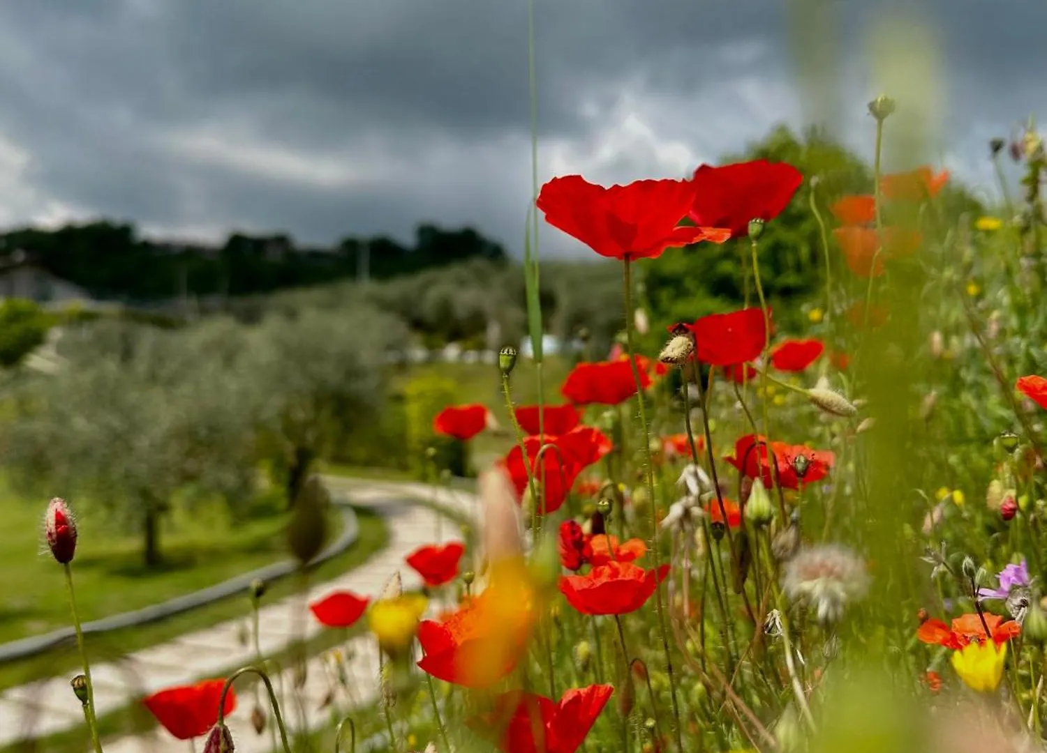 Holiday Home Sovenigo Puegnago del Garda